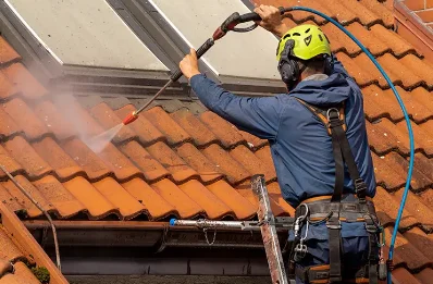 Démoussage et hydrofuge de toiture à Bogève